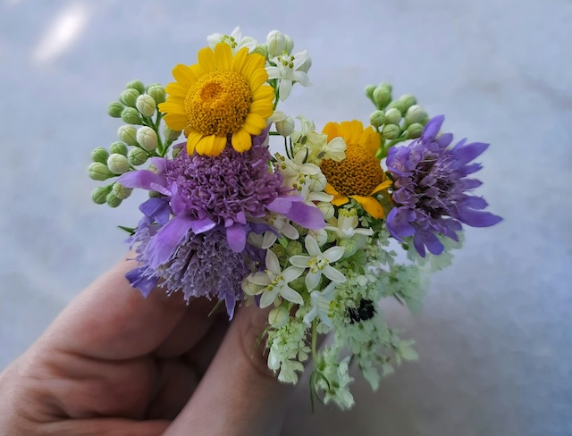 お花 フラワーアレンジメント 資格 おすすめ