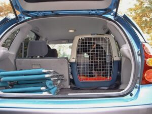 ペットタクシー専用車両と設備