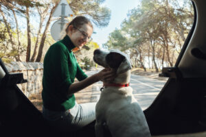 ペットタクシーの集客方法