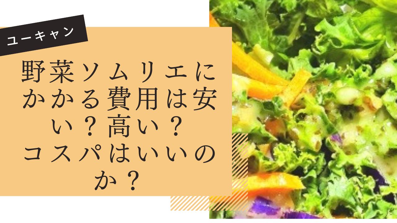 野菜ソムリエにかかる費用は安い？高い？コスパはいいのか？ | 人生が 